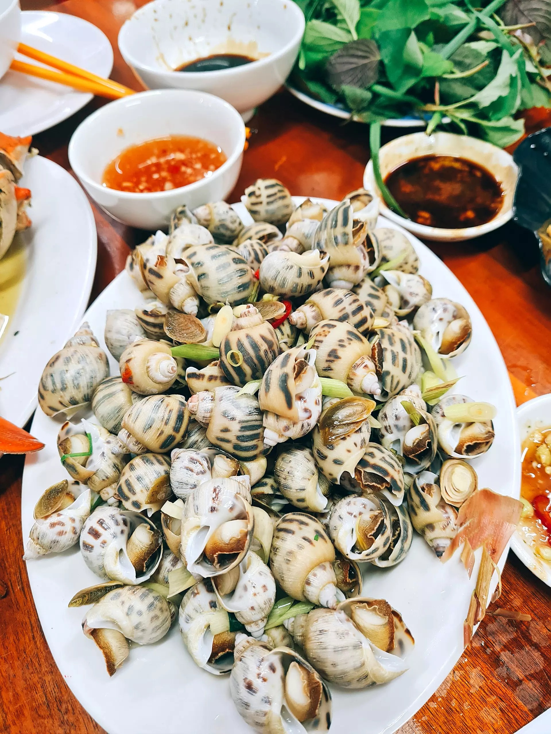 Bãi biển Cát Cò 1 và sức hút khó cưỡng giữa lòng đảo Cát Bà