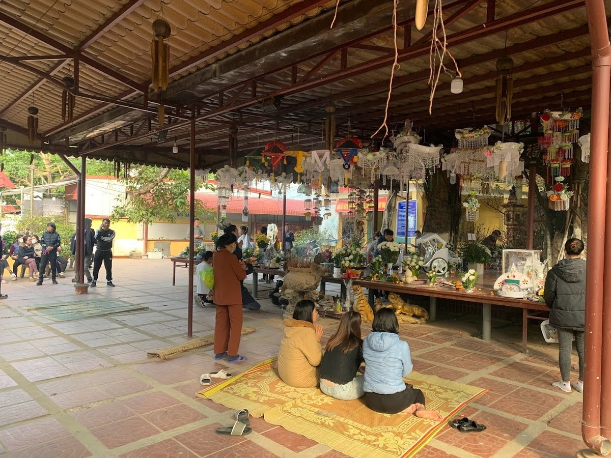 Cây đa 13 gốc: Dấu ấn linh thiêng và vẻ đẹp trầm mặc giữa lòng Tiên Lãng