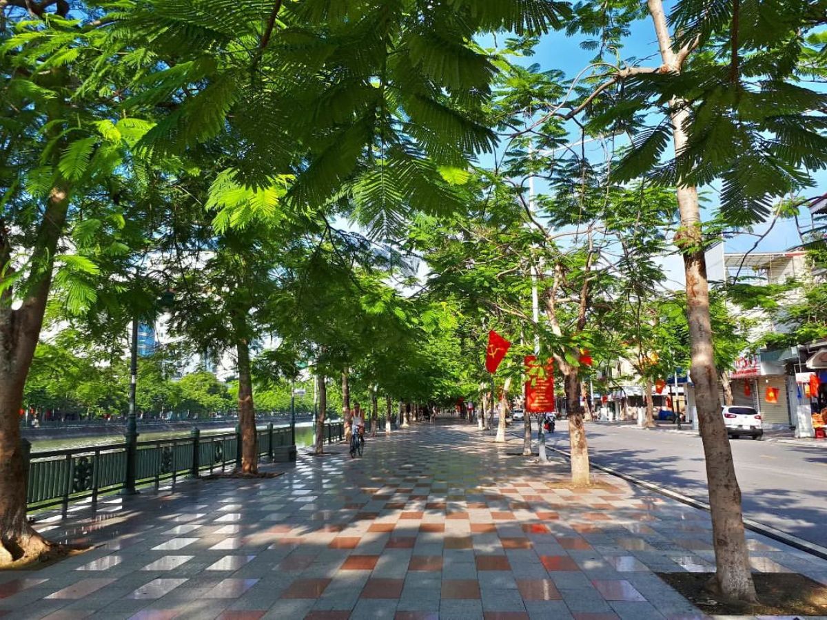 Hồ Tam Bạc: Dòng chảy ký ức giữa lòng thành phố cảng