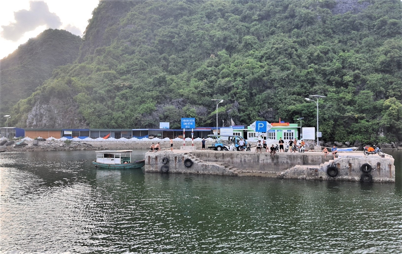 Làng Việt Hải: Bản Làng Bình Yên Giữa Lòng Cát Bà Nguyên Sơ