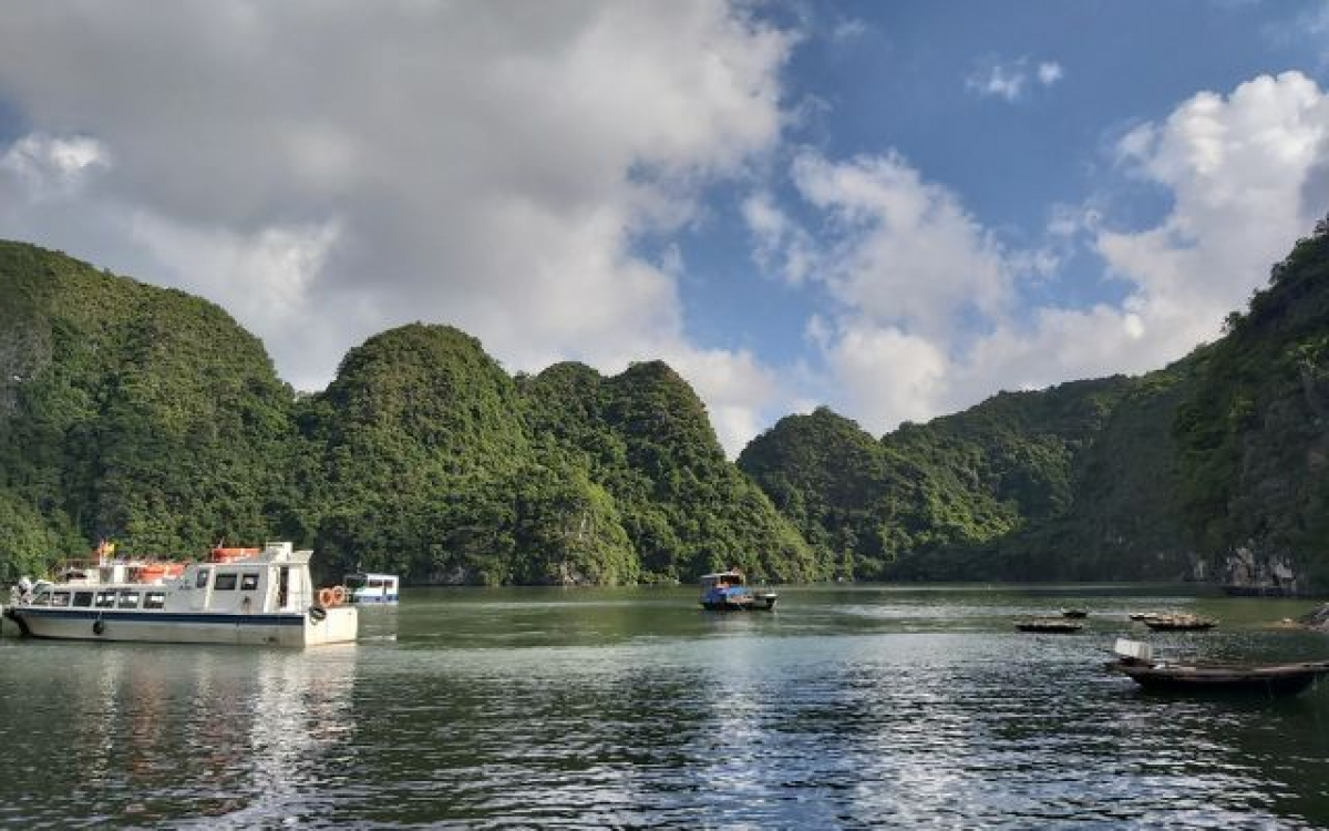 Làng Việt Hải: Bản Làng Bình Yên Giữa Lòng Cát Bà Nguyên Sơ