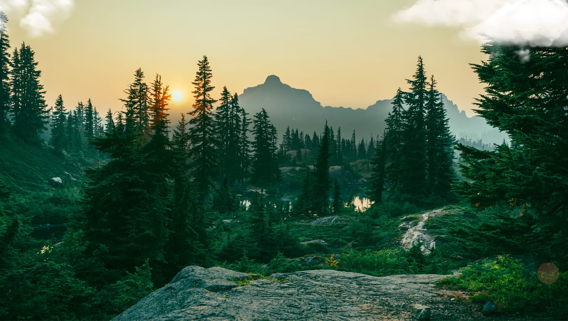 Núi Voi: Bản giao hưởng thiên nhiên nguyên sơ giữa miền duyên hải