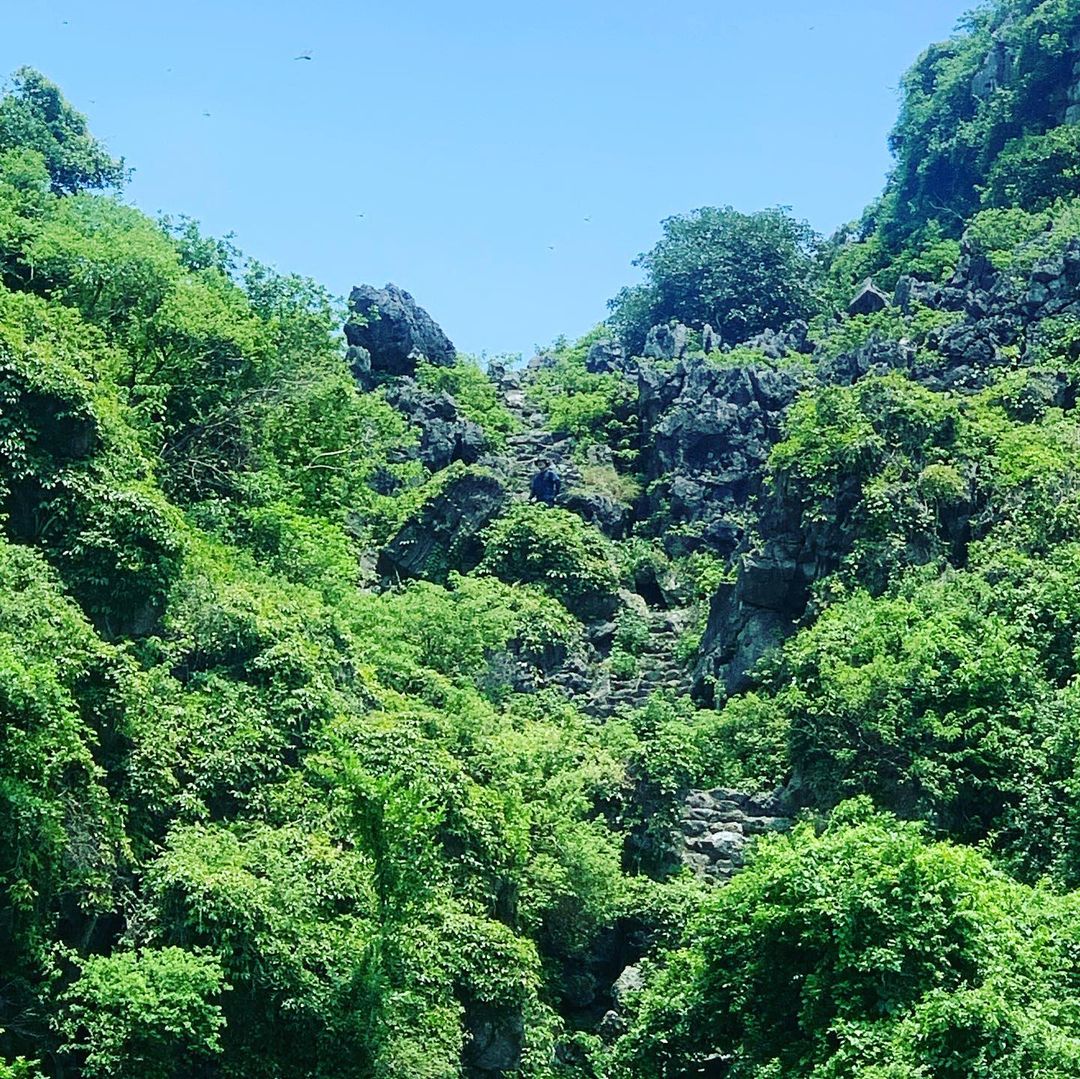 Núi Voi: Bản giao hưởng thiên nhiên nguyên sơ giữa miền duyên hải