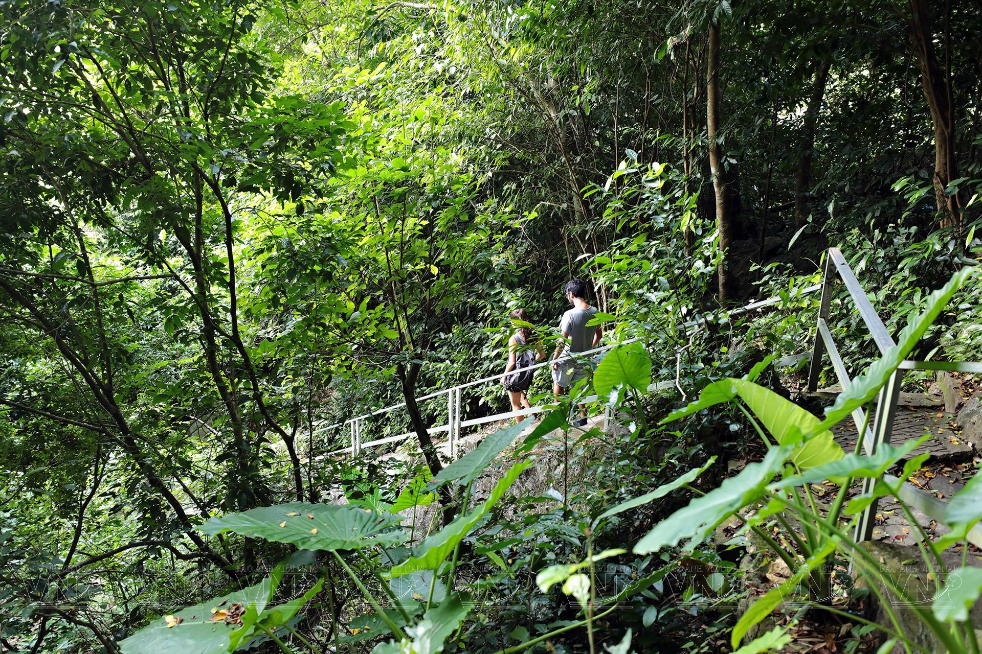 Hang Quân Y – Hành trình khám phá kỳ quan lịch sử giữa lòng Cát Bà hùng vĩ