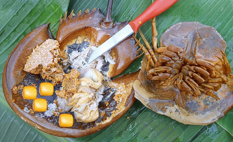 Sam biển xào chua ngọt – Dư vị mặn mòi níu chân người đến Hải Phòng